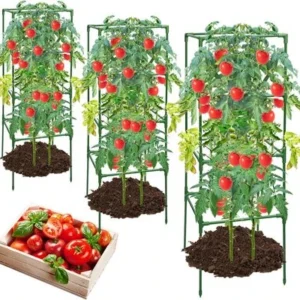 Stakes Support Cages Trellis for Garden Climbing Vegetables Flowers Fruits