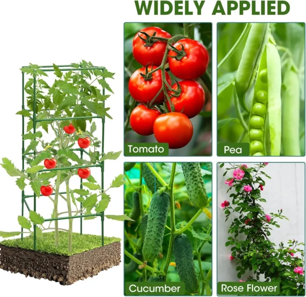 Stakes Support Cages Trellis for Garden Climbing Vegetables Flowers Fruits